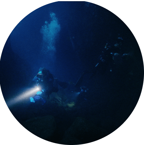 Carbon Dioxide